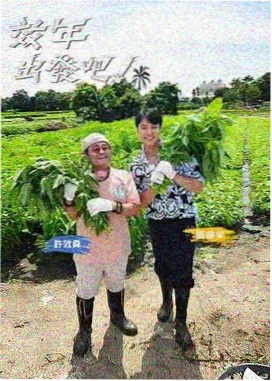 草帽一伙声优圆桌访谈封面